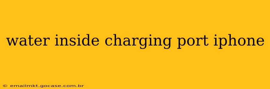 water inside charging port iphone