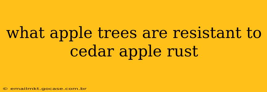 what apple trees are resistant to cedar apple rust