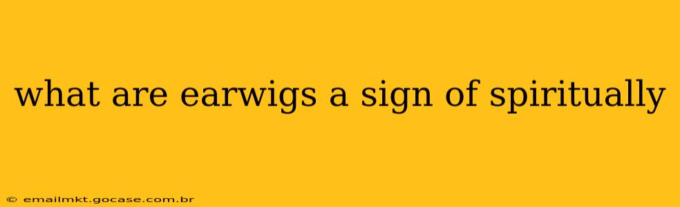 what are earwigs a sign of spiritually