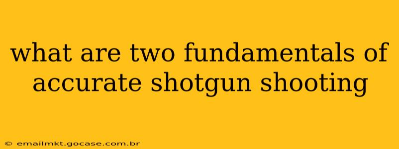 what are two fundamentals of accurate shotgun shooting