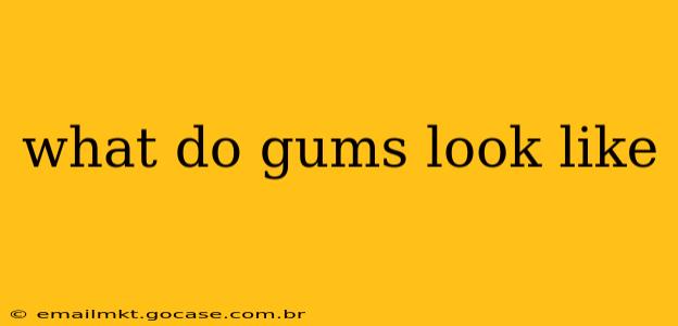 what do gums look like
