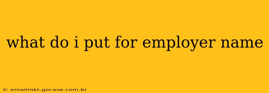 what do i put for employer name
