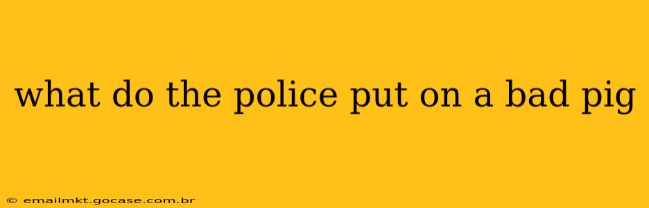 what do the police put on a bad pig
