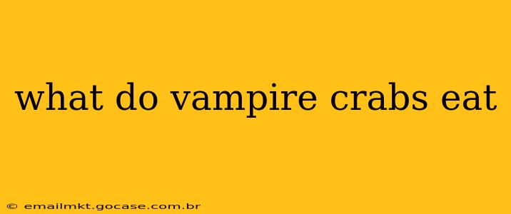 what do vampire crabs eat
