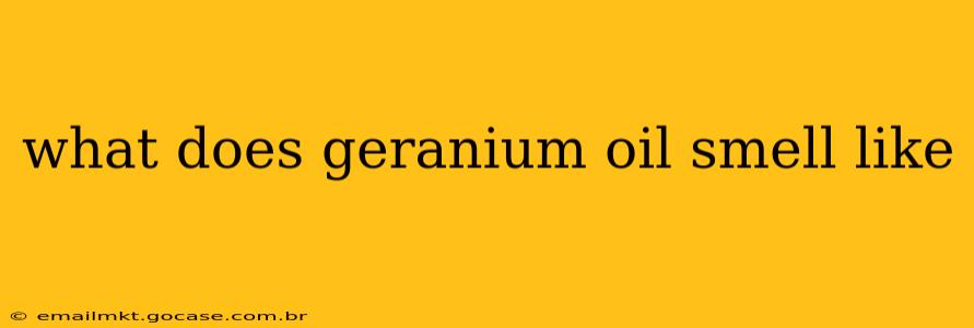 what does geranium oil smell like