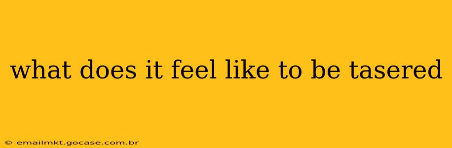 what does it feel like to be tasered