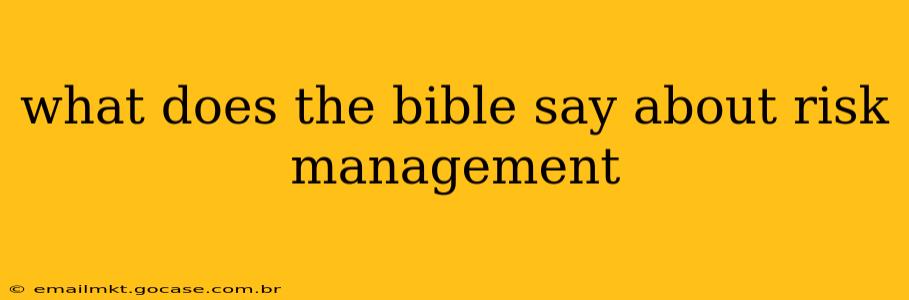 what does the bible say about risk management