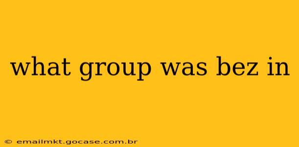 what group was bez in