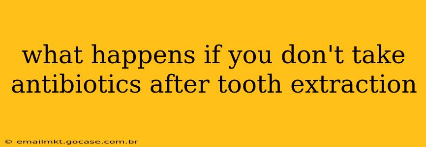 what happens if you don't take antibiotics after tooth extraction
