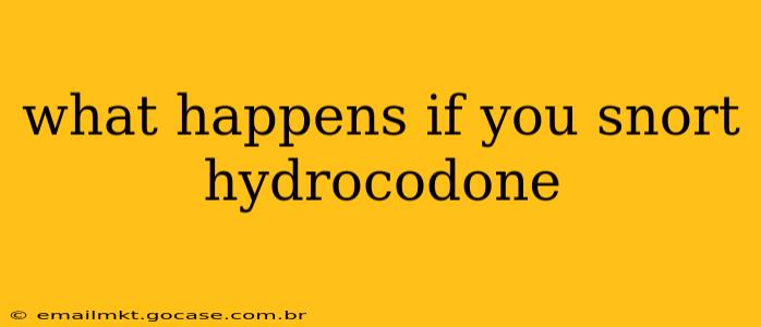 what happens if you snort hydrocodone