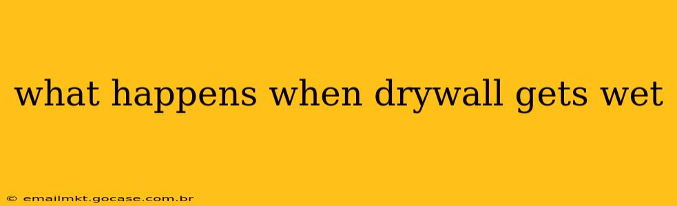 what happens when drywall gets wet