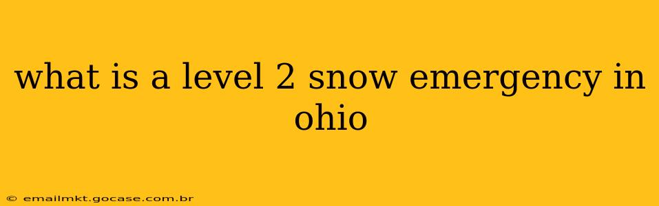 what is a level 2 snow emergency in ohio