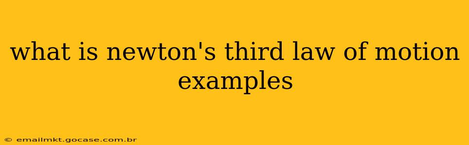 what is newton's third law of motion examples