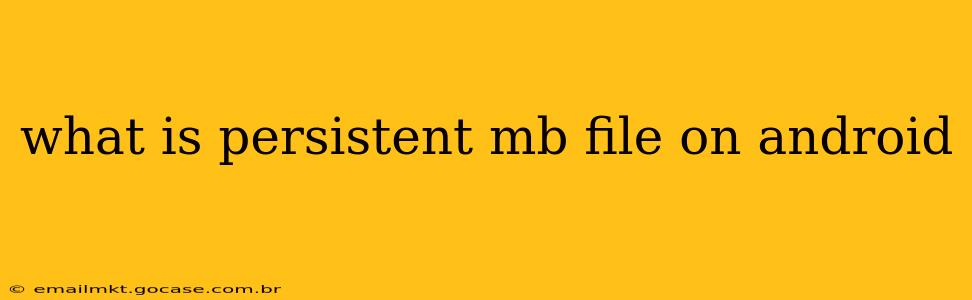 what is persistent mb file on android