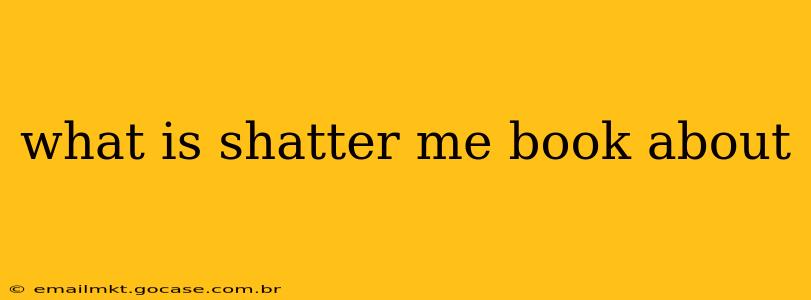 what is shatter me book about