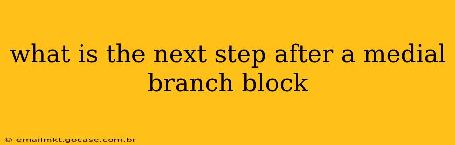 what is the next step after a medial branch block