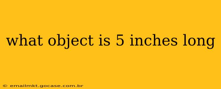 what object is 5 inches long