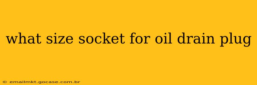 what size socket for oil drain plug