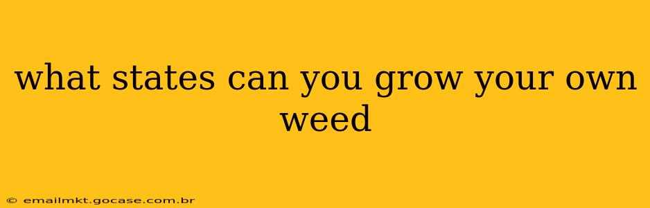 what states can you grow your own weed