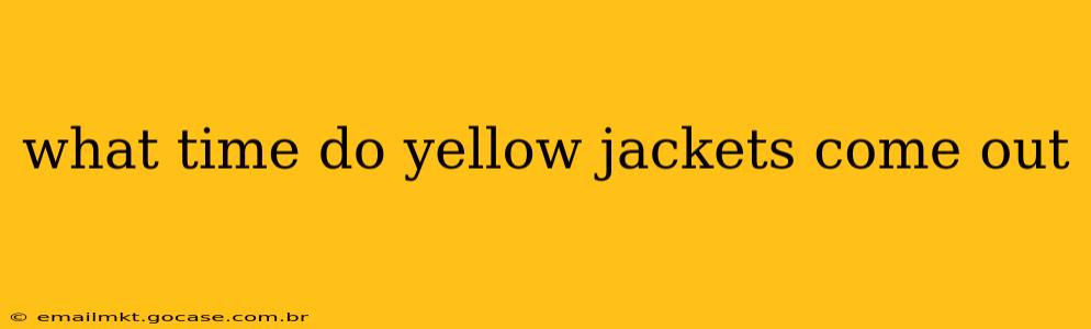 what time do yellow jackets come out