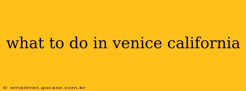 what to do in venice california