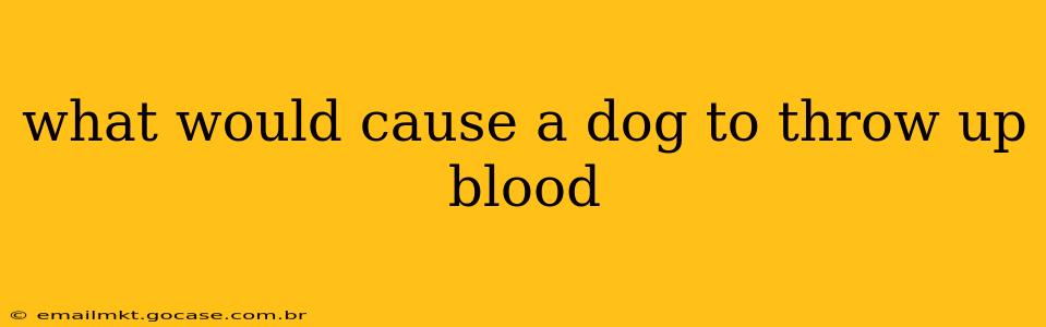 what would cause a dog to throw up blood