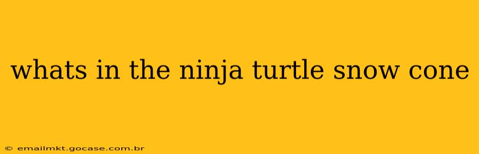 whats in the ninja turtle snow cone
