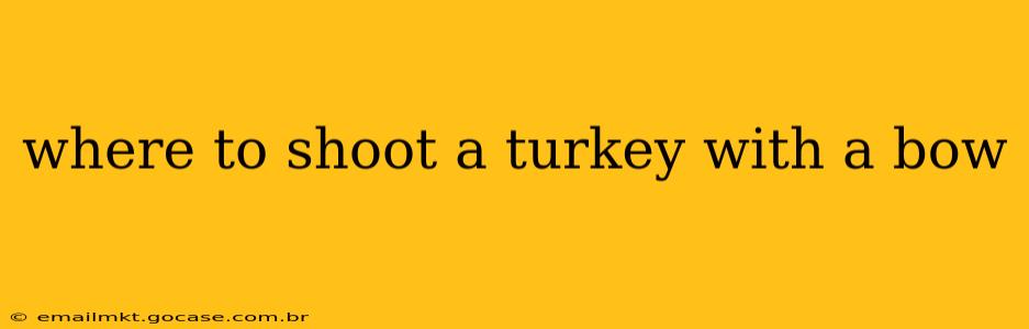 where to shoot a turkey with a bow
