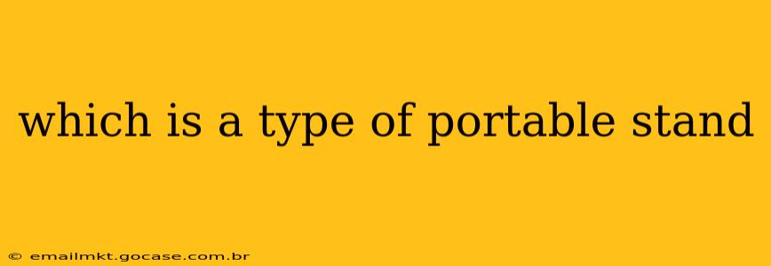 which is a type of portable stand