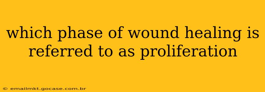 which phase of wound healing is referred to as proliferation