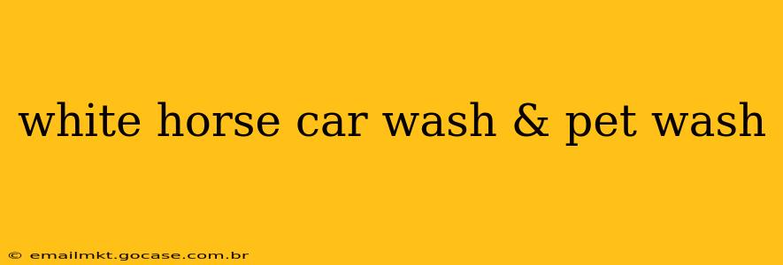 white horse car wash & pet wash