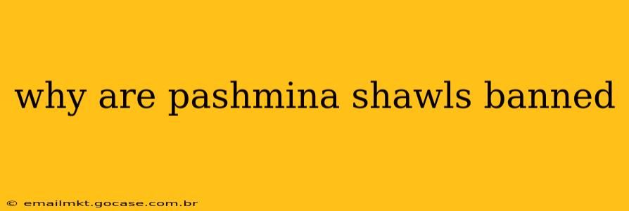 why are pashmina shawls banned