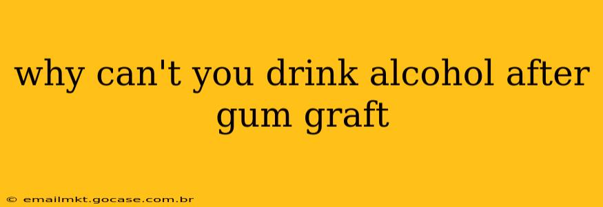 why can't you drink alcohol after gum graft