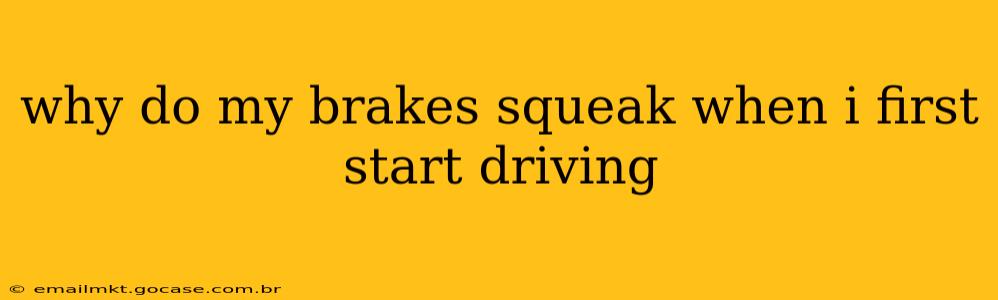 why do my brakes squeak when i first start driving