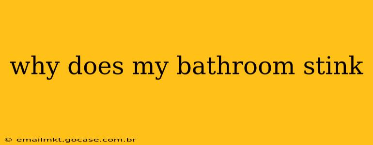 why does my bathroom stink