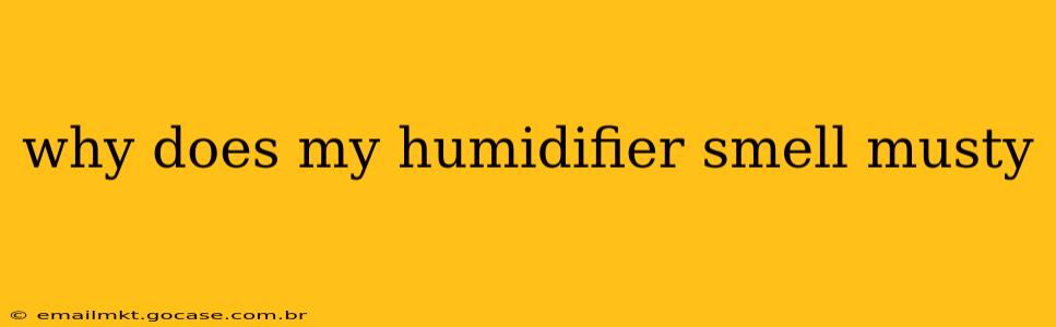 why does my humidifier smell musty