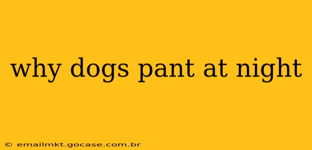 why dogs pant at night