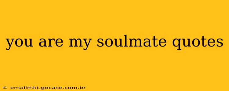 you are my soulmate quotes