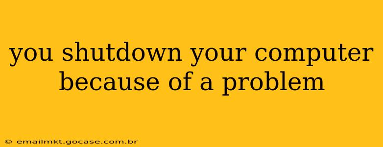 you shutdown your computer because of a problem